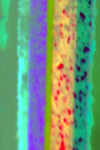 Processed image of a paint chip from a car showing layers Processed image of a paint chip from a car showing layers